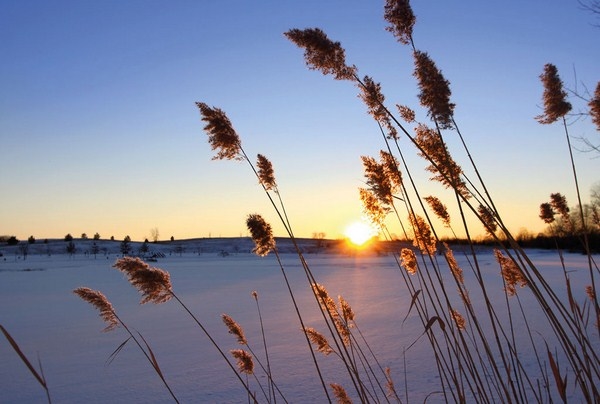 Hiver neige campagne lac