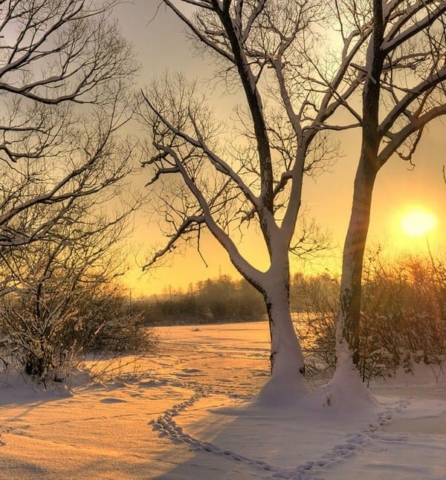 Neige hiver campagne bretagne